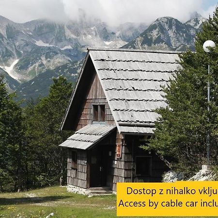 Chalet Hostel Murka Bohinj Exteriér fotografie