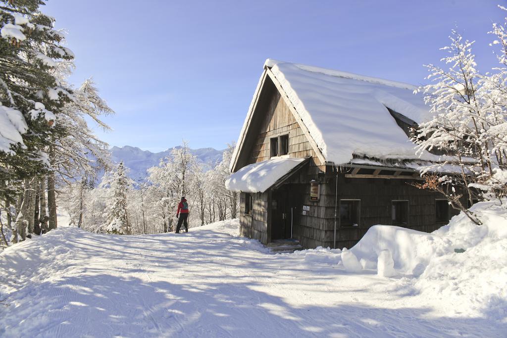 Chalet Hostel Murka Bohinj Exteriér fotografie