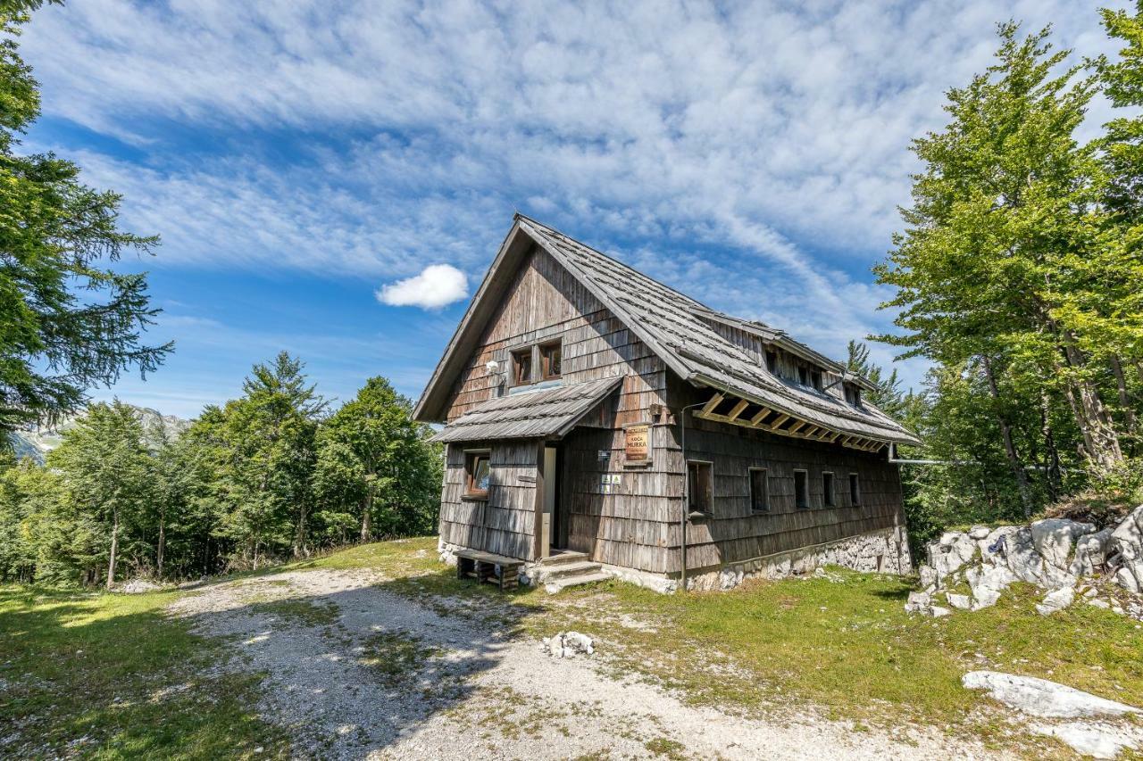 Chalet Hostel Murka Bohinj Exteriér fotografie